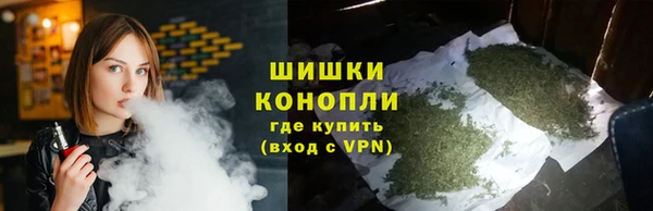 2c-b Туринск
